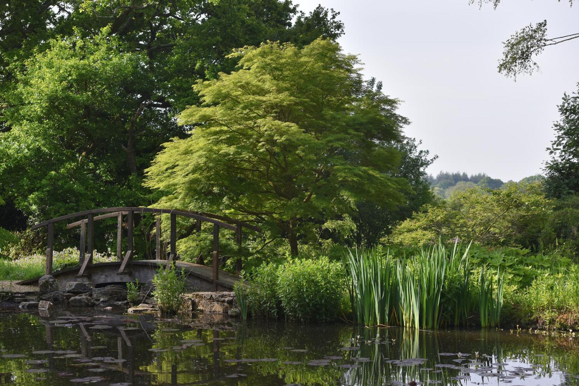 Furzey House Villa Minstead Buitenkant foto
