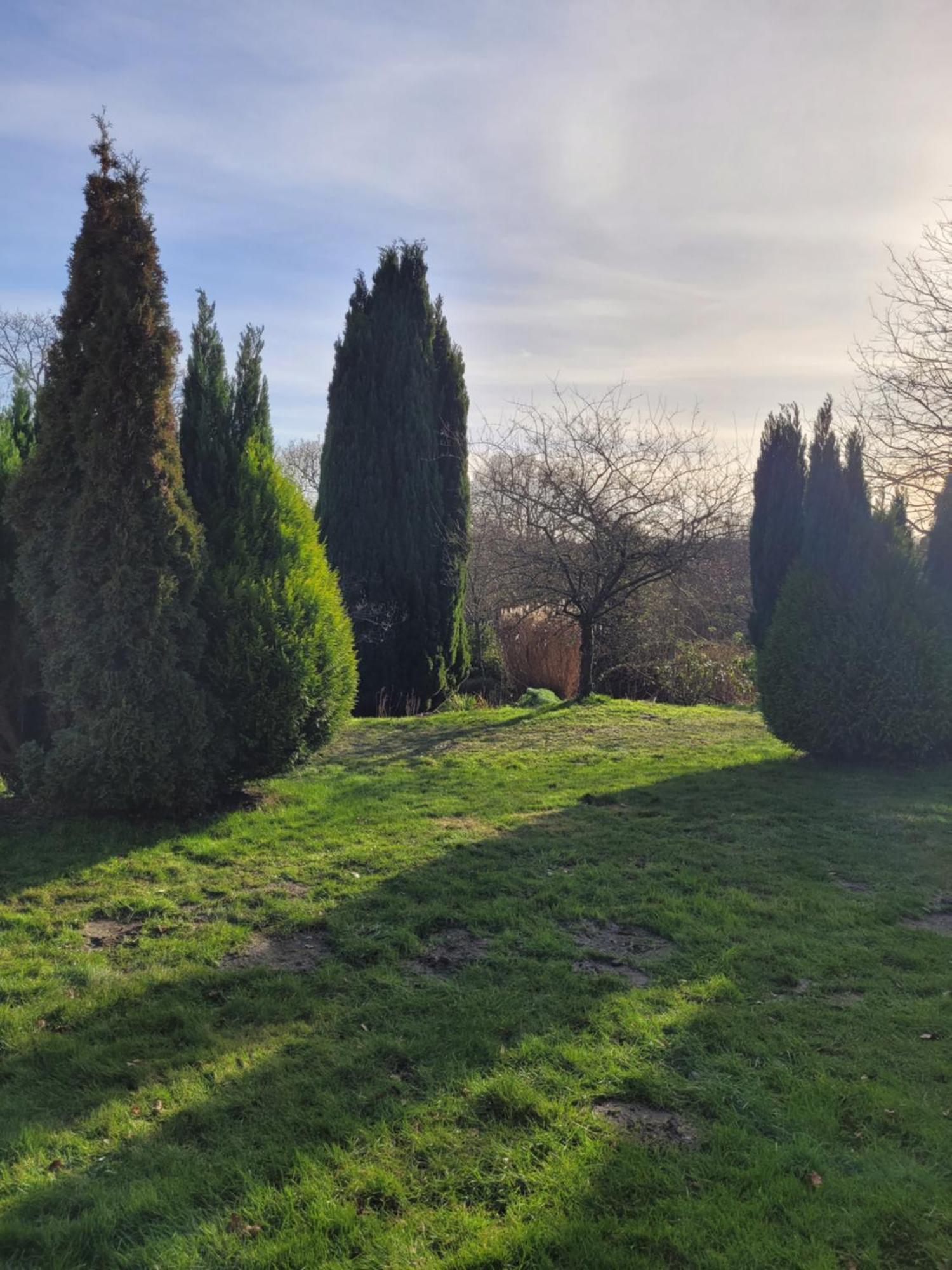 Furzey House Villa Minstead Buitenkant foto